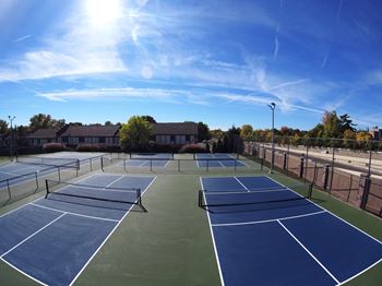 Pickleball courts